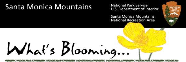 Santa Monica Mountains National Recreation Area Logo