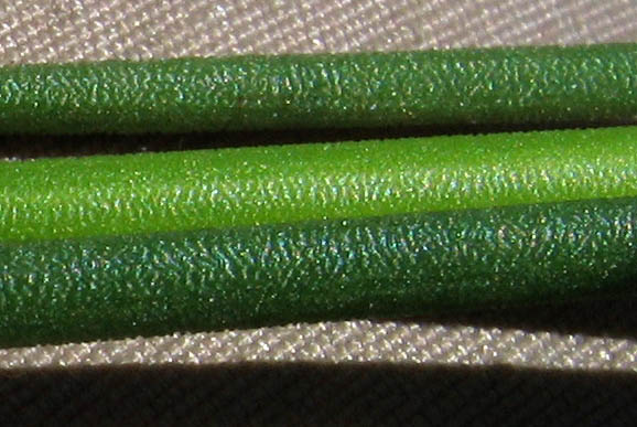 Detailed Picture 4 of Juncus dubius